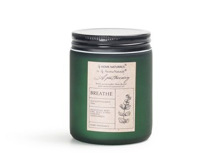 Apothecary Series Jar Candle (Eucalyptus & Mint) Fashion